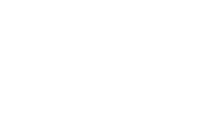Skipper